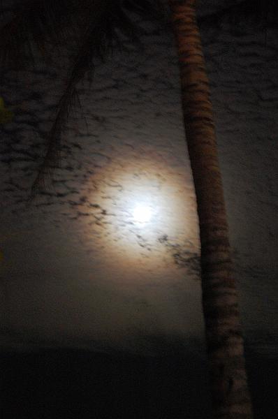 018. luna.JPG